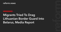 Migrants Tried To Drag Lithuanian Border Guard Into Belarus, Media Report