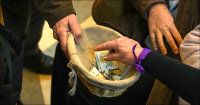 UK Catholic charities raise £2.9 billion annually, report finds
