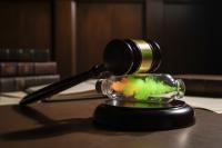 California phases out paraquat, pesticide linked to Parkinsonâs Disease, amid growing legal and scientific pressure