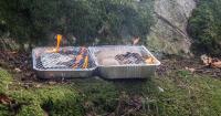 UK Government bans sale of disposable barbecues after sparking wildfires