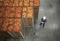 Currency volatility squeezes UK food sector