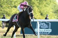 Woodbine takes center ring in weekend horse racing