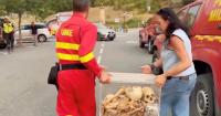 Spain removes remains of 11th century kings from monastery as Europe’s wildfires spread