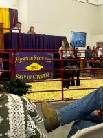 Missouri State Fair names champions in livestock, youth ham shows