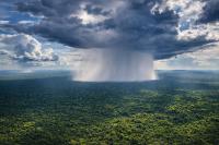 New studies portray Amazon as surprisingly resilient, but tipping point looms