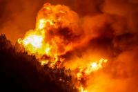 Body found after wildfire hits Croatian coastal town