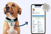 Sioux Falls Pet Owners Can Now Register Dogs And Cats Online