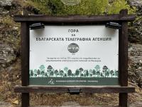 Bulgarian News Agency Restores, Illuminates BTA Forest Sign near Rila Monastery