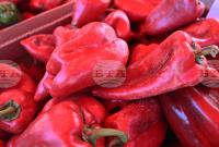Bulgarian Food Safety Agency Returns 11.6 Tonnes of Peppers to North Macedonia After Pesticide Detection