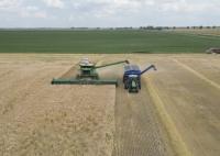 Harvest for Kids turns crops into camp experiences for children around the world