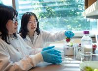 UBC Researchers Develop Edible, Seaweed-Derived Coating That Keeps Strawberries Fresh for Four Days+ at Room Temperature