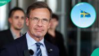 Sweden lists 5 categories of foreigners who can get citizenship without employment