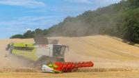 Winter barley below par in Northern Ireland and Scotland