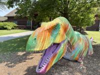Family Fun Column: Lee G. Simmons Wildlife Safari Park