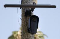 Why New York Police Are Defending Flock Cameras Amid Backlash