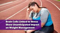 Researchers Discover Unexpected Link Between Stress-Related Brain Cells and Obesity