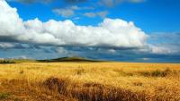 Food price shock arrives as Russia and Ukraine shut each other's grain ports