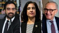 New York City’s lone Republican in Congress accuses Mamdani, Schumer of 'hypocrisy' in voter ID fight