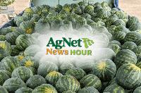 Joe Del Bosque: California Farming Faces a Critical Future