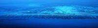 Coral Reefs are Valuable to the Economy