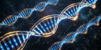 Genetic data indicates distinct metabolic pathways for different mental health disorders