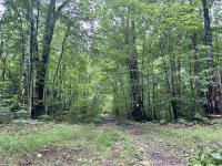 After Canterbury state representative attempted to claim forgotten land, search for legal owners continues ‘in limbo’