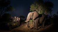 Asia’s First Desert Night Safari Is Coming to Gujarat: Know the Location and Key Details