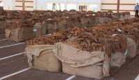 Malawi tobacco regulator says revised output target remains within reach