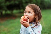 Florida Ranks Among Worst States for Giving Young Children a Healthy Start