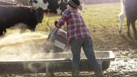 Minister urged to ‘start preparing for fodder crisis’