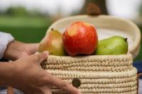European apple production down 16 percent, WAPA says