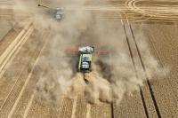 Drought leading to significantly smaller harvest in Germany: Estimate