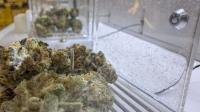 Ohio Marijuana Market Contends with High Prices