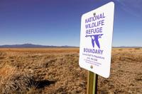 Trump Administration Finalizes Biggest Expansion of Hunting and Fishing on Wildlife Refuges in History