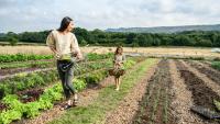 Five ways to eat on a fun day out without breaking the bank