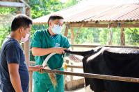 Investments lift dairy output 21% in first half—NDA