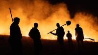 Serbia battles major wildfire in Deliblatska Pescara nature reserve