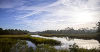 Aug. 14 - A new plan to preserve Georgia's marshes: Give them space to migrate 
