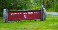 Another beaver attack in Maryland, this time at park in Montgomery County