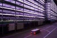 Danish University Releases DFM Mimir v1: 1B-Parameter AI Matches 4B-Parameter Rivals on Legal Data