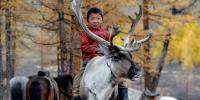 Brazil to join COP17 debates on desertification in Mongolia