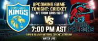 St Lucia  Kings Set to Host  Antigua  & Barbuda Falcons in T20 Blockbuster Tonight at Daren Sammy Stadium