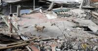 Race to reach trapped survivor offers hope in Colombia