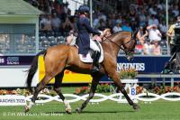 Laura Collett leads British charge after dressage as Germany mount pressure at eventing World Championships – and it’s nip tuck in the individual standings
