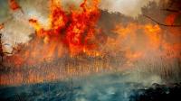 Millions receive emergency phone wildfire alert in England and Wales