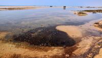 Oil Slicks Raise Environmental Concerns In Gulf As Tanker Attacks Continue