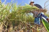 Storm-affected farmers to receive financial aid