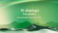 President Xi Jinping's key quotes on ecological protection