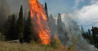 What the Big Grass and Tartar fires mean for hunting in Southwest Idaho