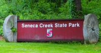 Beaver attack prompts expanded closure at Maryland state park